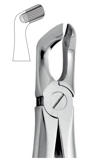 ANATOMIC TOOTH FORCEPS ENGLISH PATTERN - LOWER