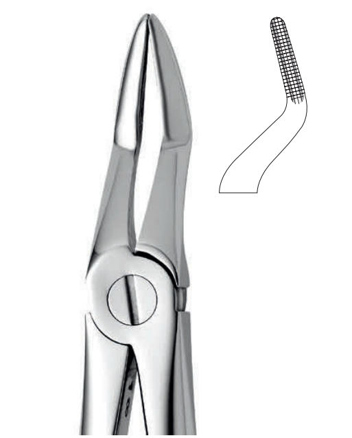 ANATOMIC TOOTH FORCEPS ENGLISH PATTERN - UPPER