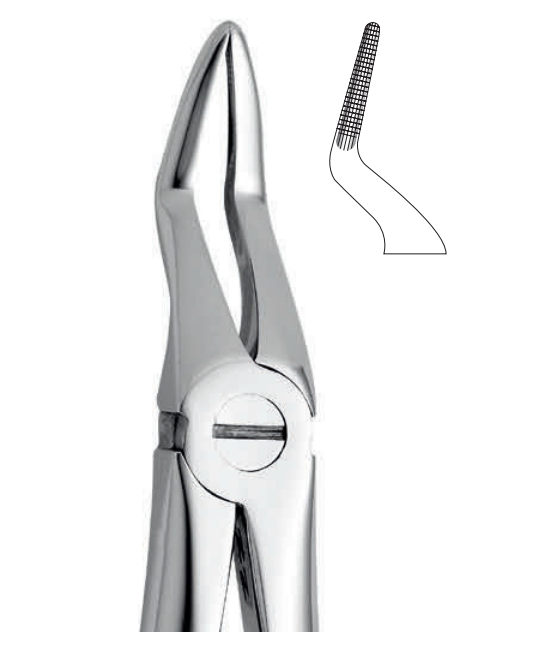 ANATOMIC TOOTH FORCEPS ENGLISH PATTERN - UPPER