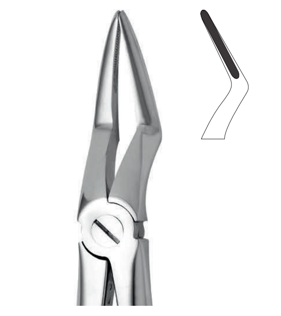 ANATOMIC TOOTH FORCEPS ENGLISH PATTERN - UPPER