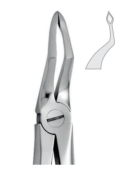 ANATOMIC TOOTH FORCEPS ENGLISH PATTERN - UPPER