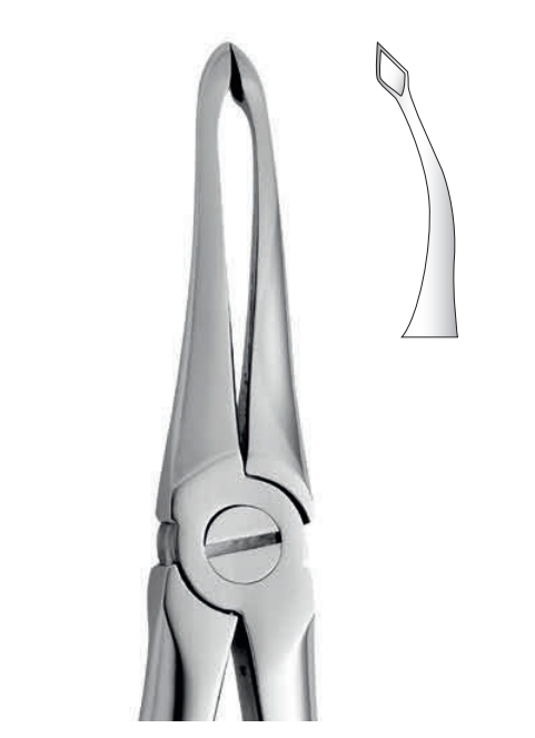 ANATOMIC TOOTH FORCEPS ENGLISH PATTERN - UPPER