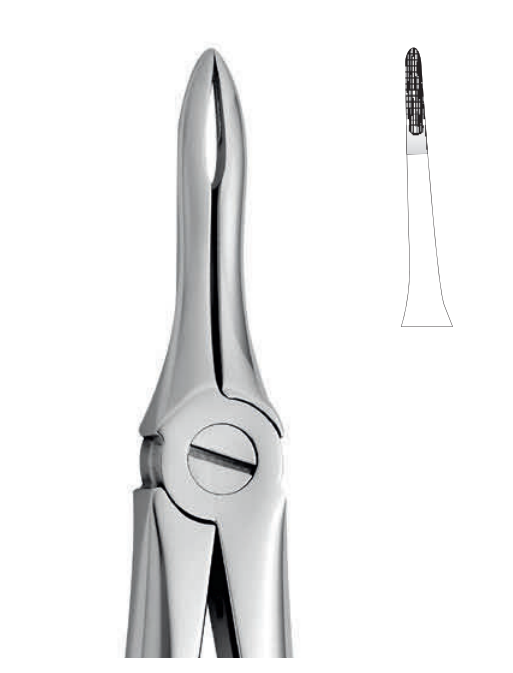 ANATOMIC TOOTH FORCEPS ENGLISH PATTERN - UPPER