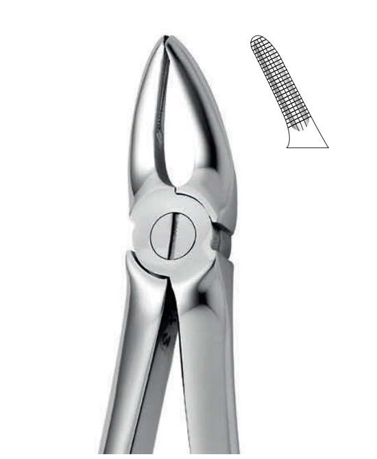 ANATOMIC TOOTH FORCEPS ENGLISH PATTERN - UPPER