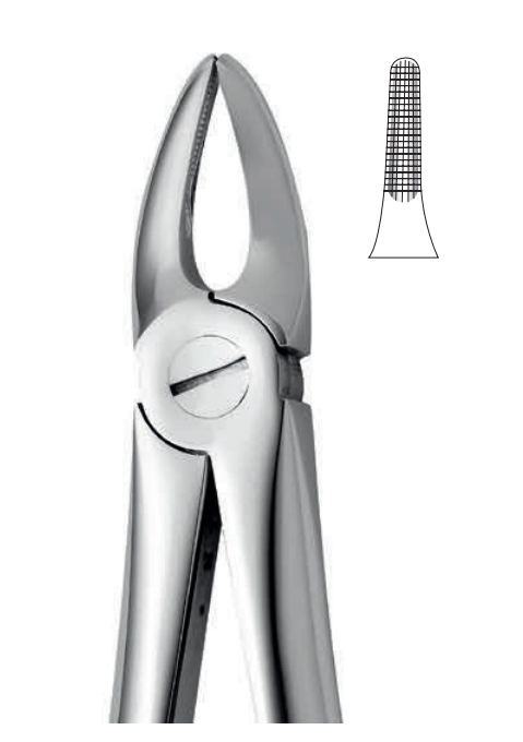 ANATOMIC TOOTH FORCEPS ENGLISH PATTERN - UPPER