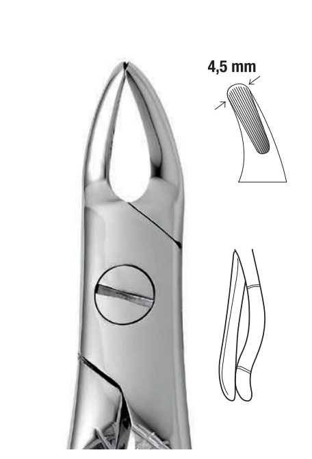 ANATOMIC TOOTH FORCEPS ENGLISH PATTERN - UPPER