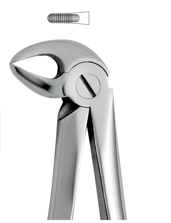 ANATOMIC TOOTH FORCEPS ENGLISH PATTERN - LOWER