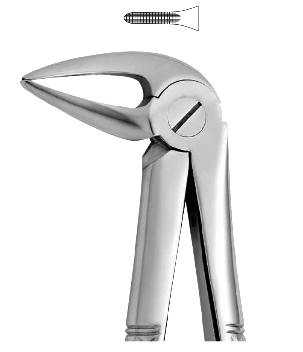 ANATOMIC TOOTH FORCEPS ENGLISH PATTERN - LOWER