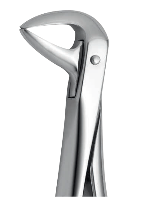ANATOMIC TOOTH FORCEPS ENGLISH PATTERN - LOWER