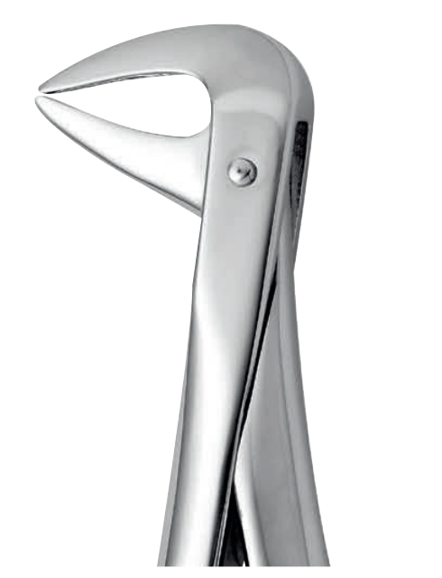 ANATOMIC TOOTH FORCEPS ENGLISH PATTERN - LOWER