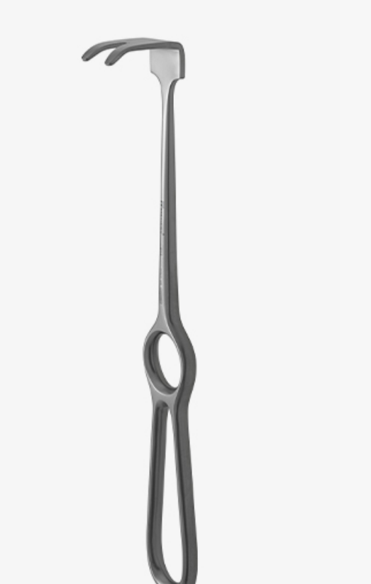 Retractor Cheek & Tissue