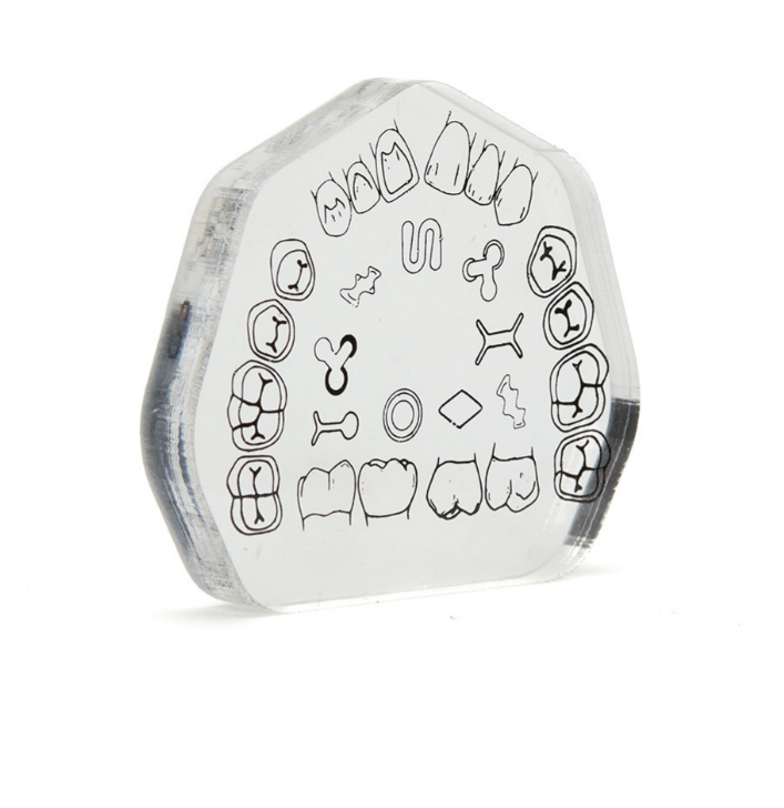 Preparation training block transparent