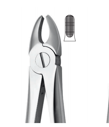 Upper tooth forceps – english pattern (anatomic design)