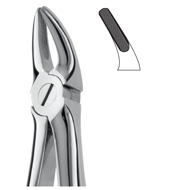 Upper tooth forceps – english pattern (anatomic design)