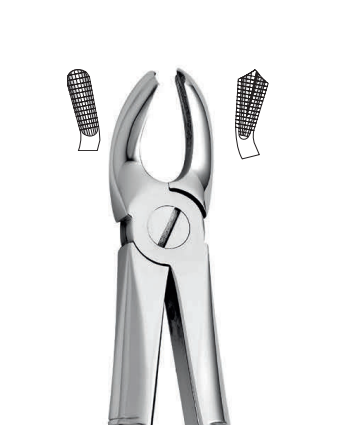 Upper tooth forceps – english pattern (anatomic design)