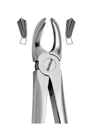 Upper tooth forceps – english pattern (anatomic design)