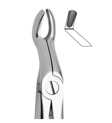 Upper tooth forceps – english pattern (anatomic design)