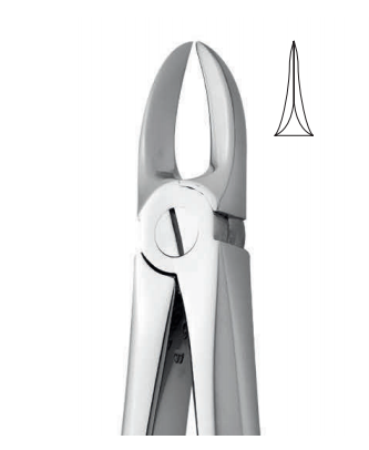 Upper tooth forceps – english pattern (anatomic design)