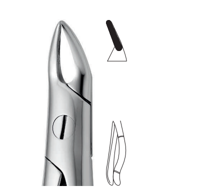 Upper tooth forceps – english pattern (anatomic design)