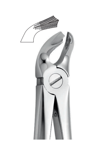 Lower tooth forceps – english pattern (anatomic design)
