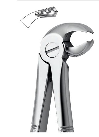 Lower tooth forceps – english pattern (anatomic design)