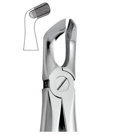 Lower tooth forceps – english pattern (anatomic design)