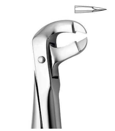 Lower tooth forceps – english pattern (anatomic design)