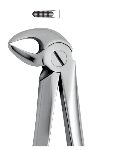 Lower tooth forceps – english pattern (anatomic design)