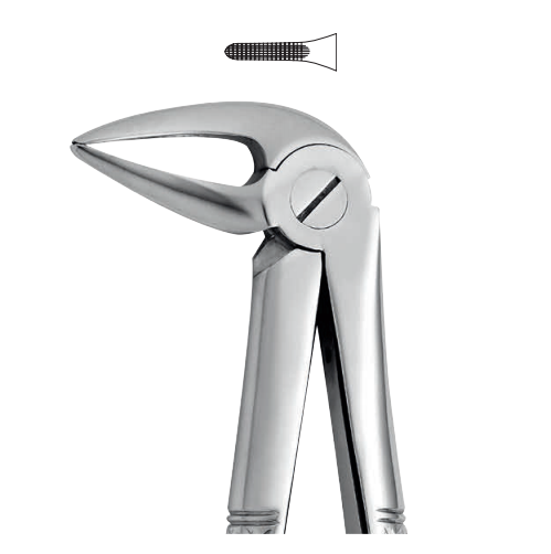 Lower tooth forceps – english pattern (anatomic design)