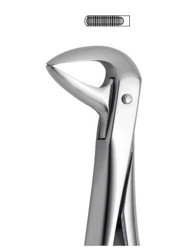 Lower tooth forceps – english pattern (anatomic design)