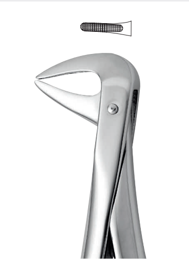 Lower tooth forceps – english pattern (anatomic design)