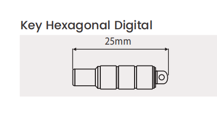 Hexagonal Key - Long & Short Stem