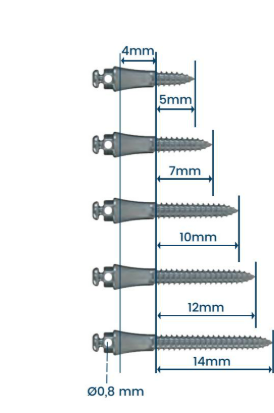 Extraradicular Screw Mini Orthodontic Steel with Button Head