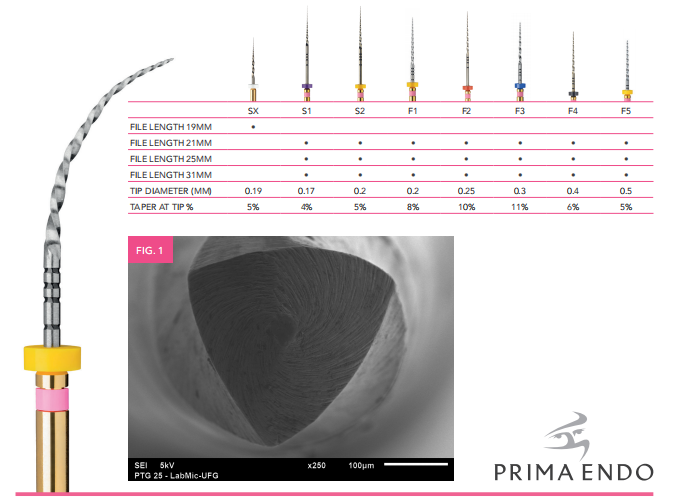 Endo Files - Prima Taper – Continuous NiTi Rotary Files