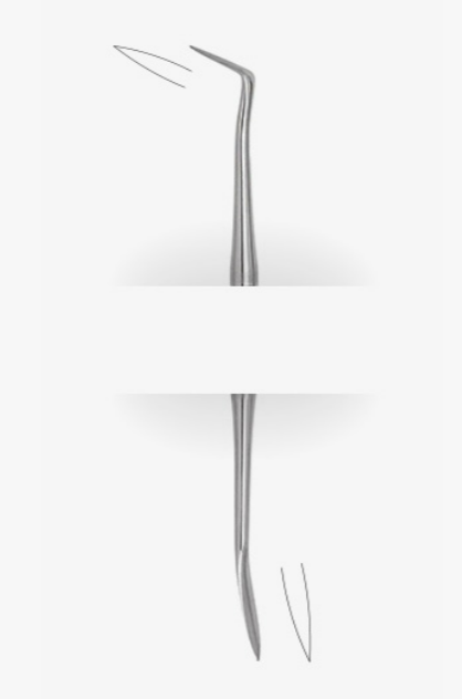 Amalgam Carver – Ward