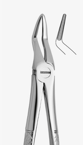 Upper Tooth Forceps – English Pattern (anatomic design)