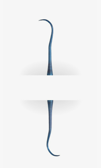 Scaler Blue Titanium