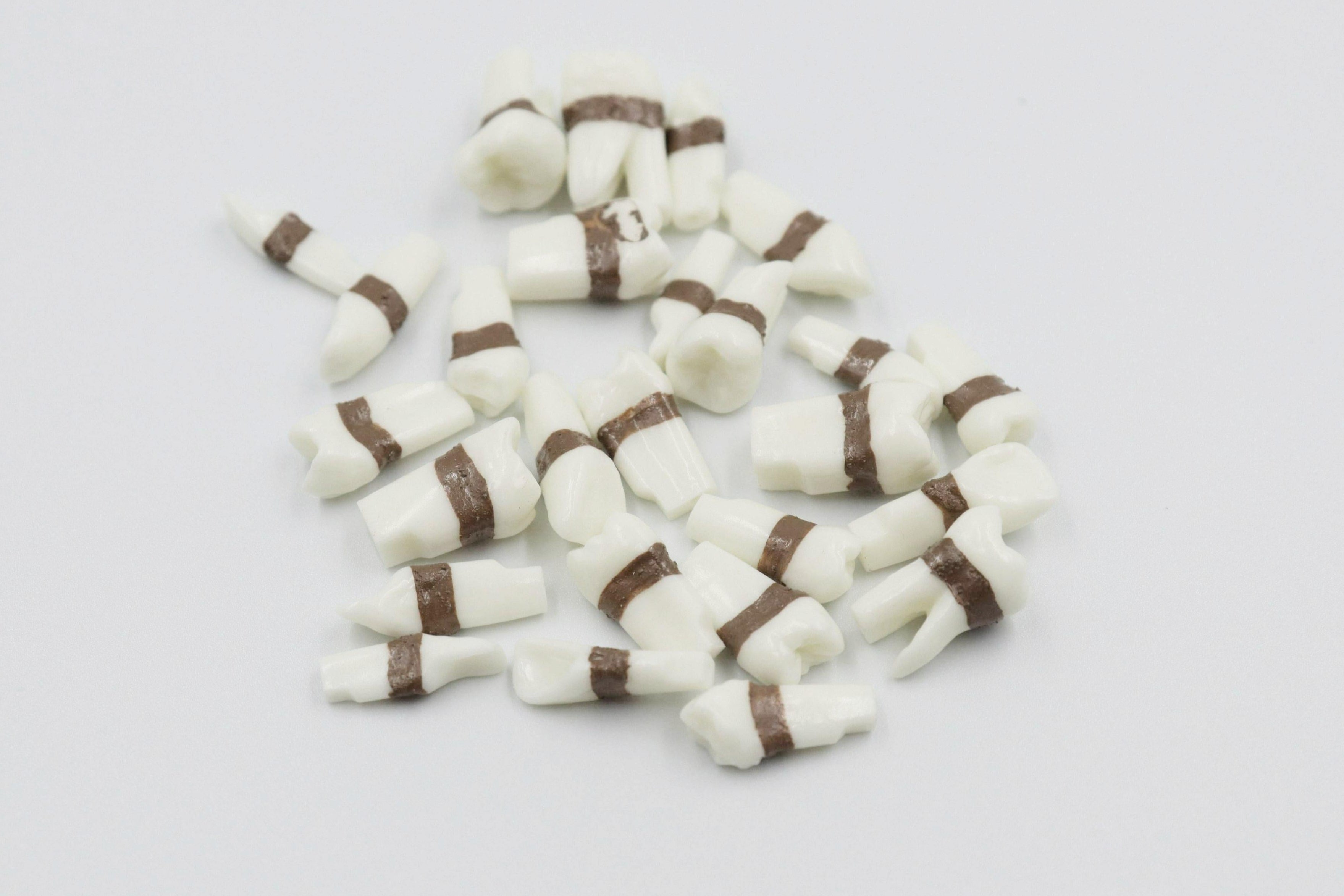Replacement Teeth For The Above Periodontal Model 28PCs/Set