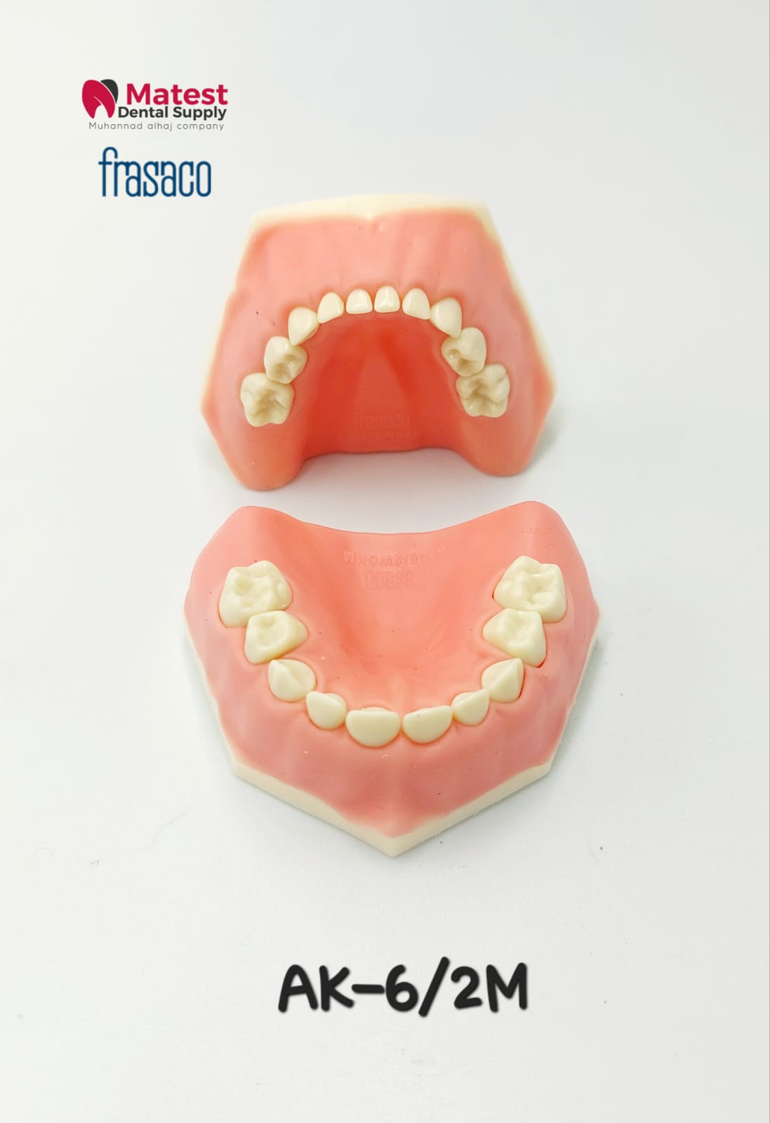 AK-6/2  Deciduous Denture Model