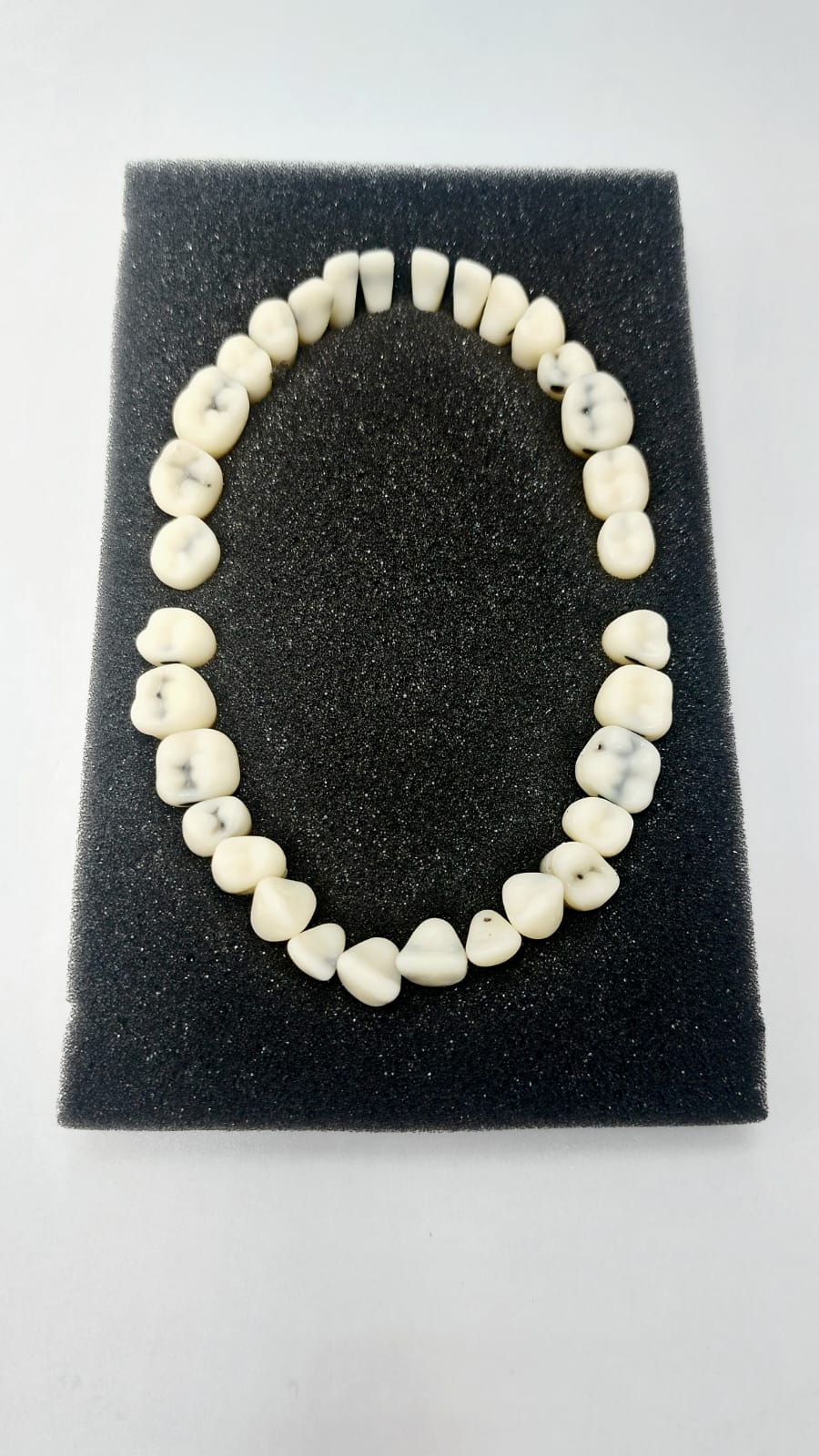 Fuji Resto- Restorative Jaw Teeth Set - 32 Tooth + 5 Screws