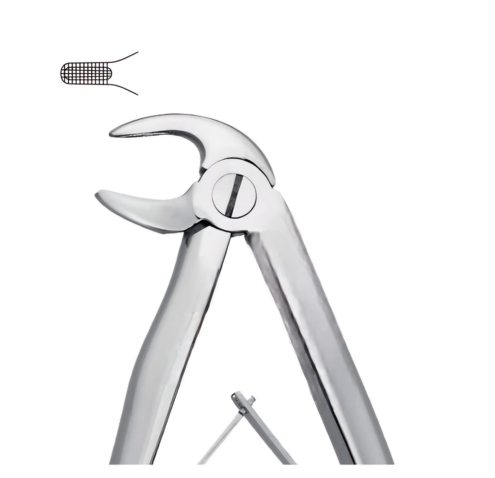 PEDODONTIC TOOTH FORCEPS - SPRINGS LOADED HANDLE
