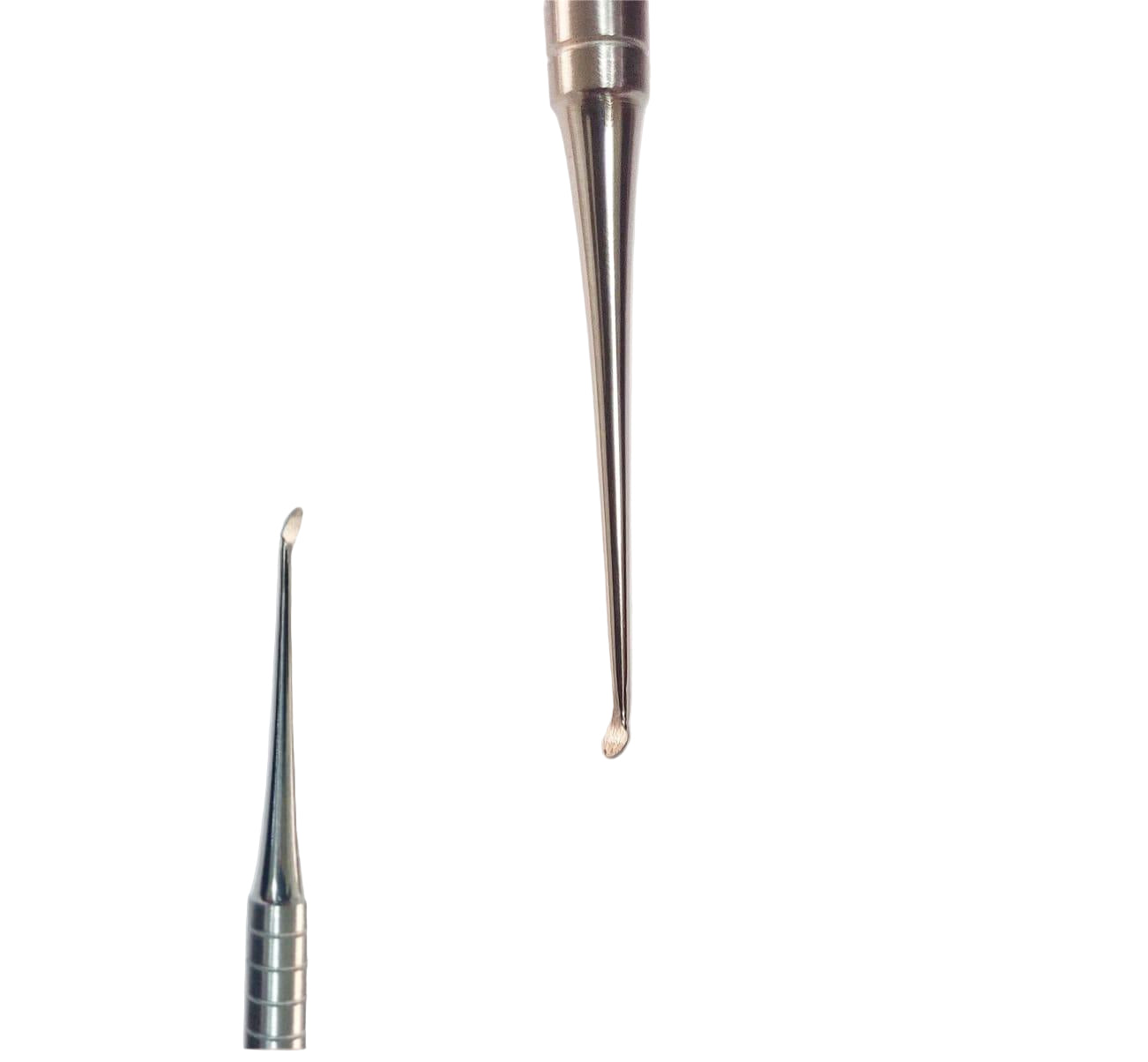 Amalgam Carver – Cleoid/Discoid