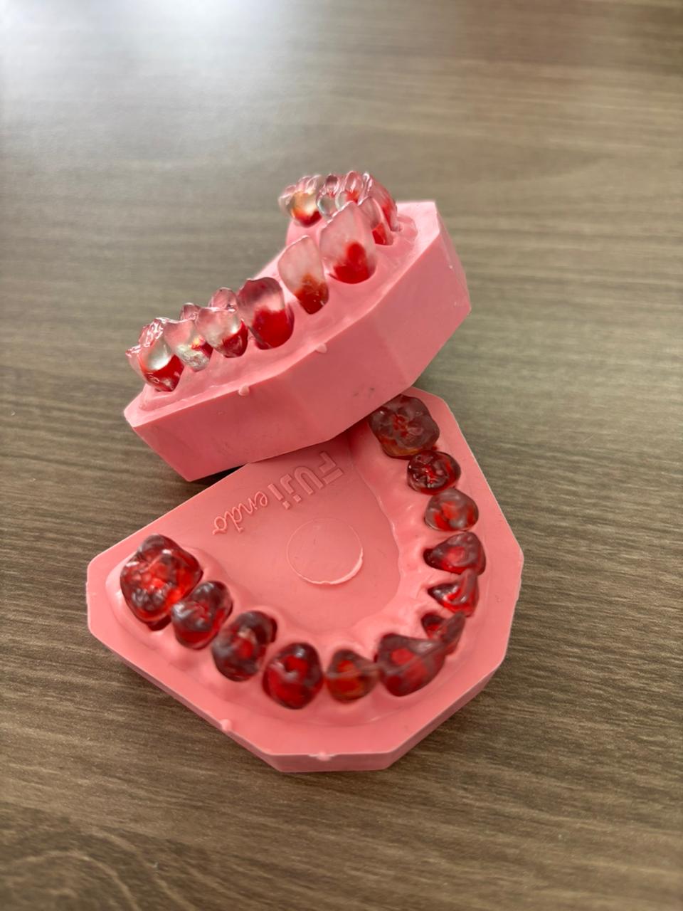 Fuji endodontic jaw 12 teeth