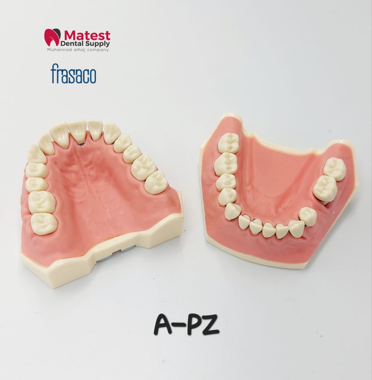 A-PZ Periodontitis Model