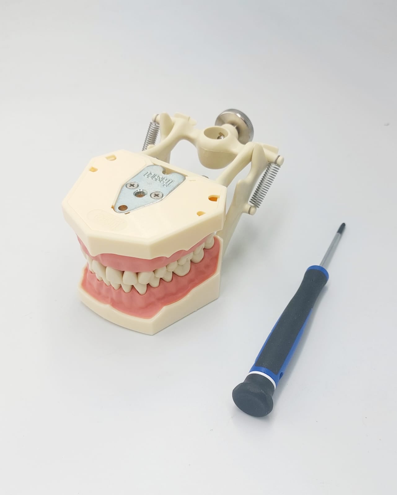 AG-3 DA Dental Model with Articulator