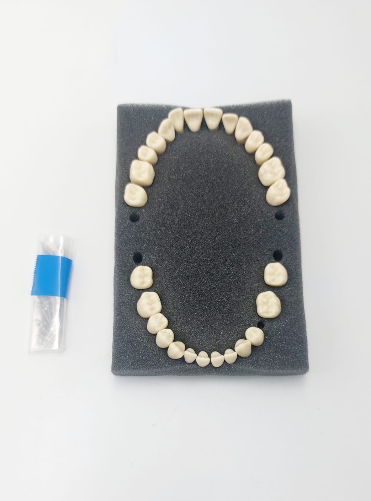 A-PZ Periodontitis Model