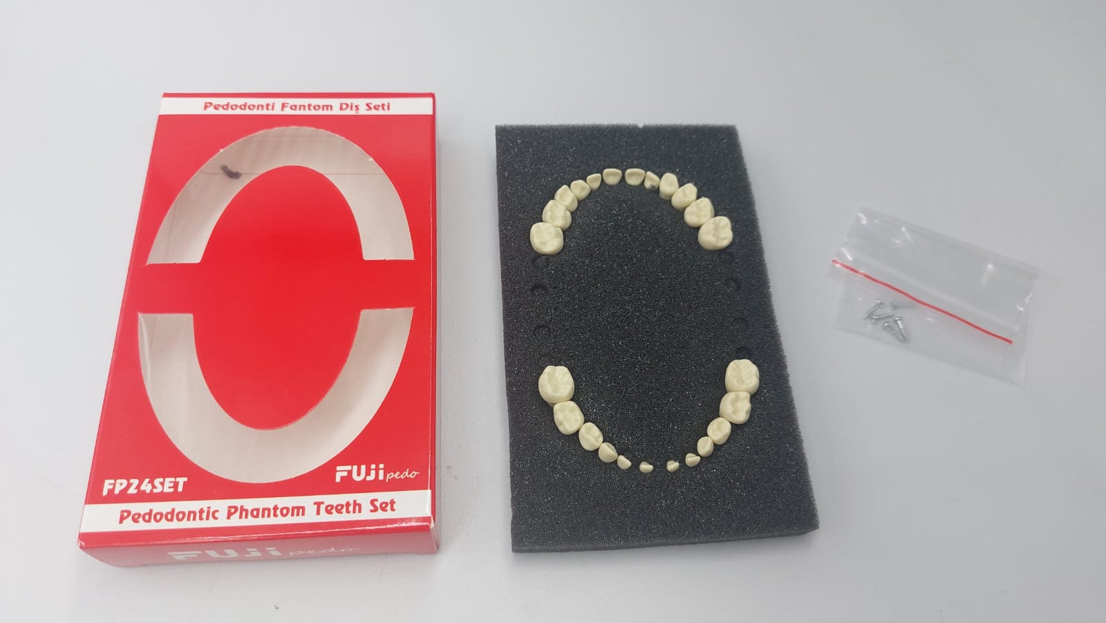 Fuji Jaw- Pedodontic Soft Tissue Jaw with Articulator Study Model-  24 Teeth
