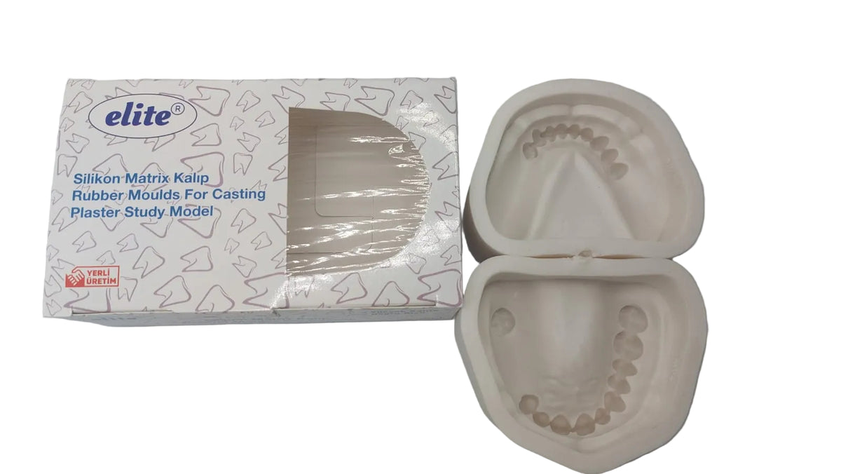 Elite Silicone Mold for Plaster without Teeth