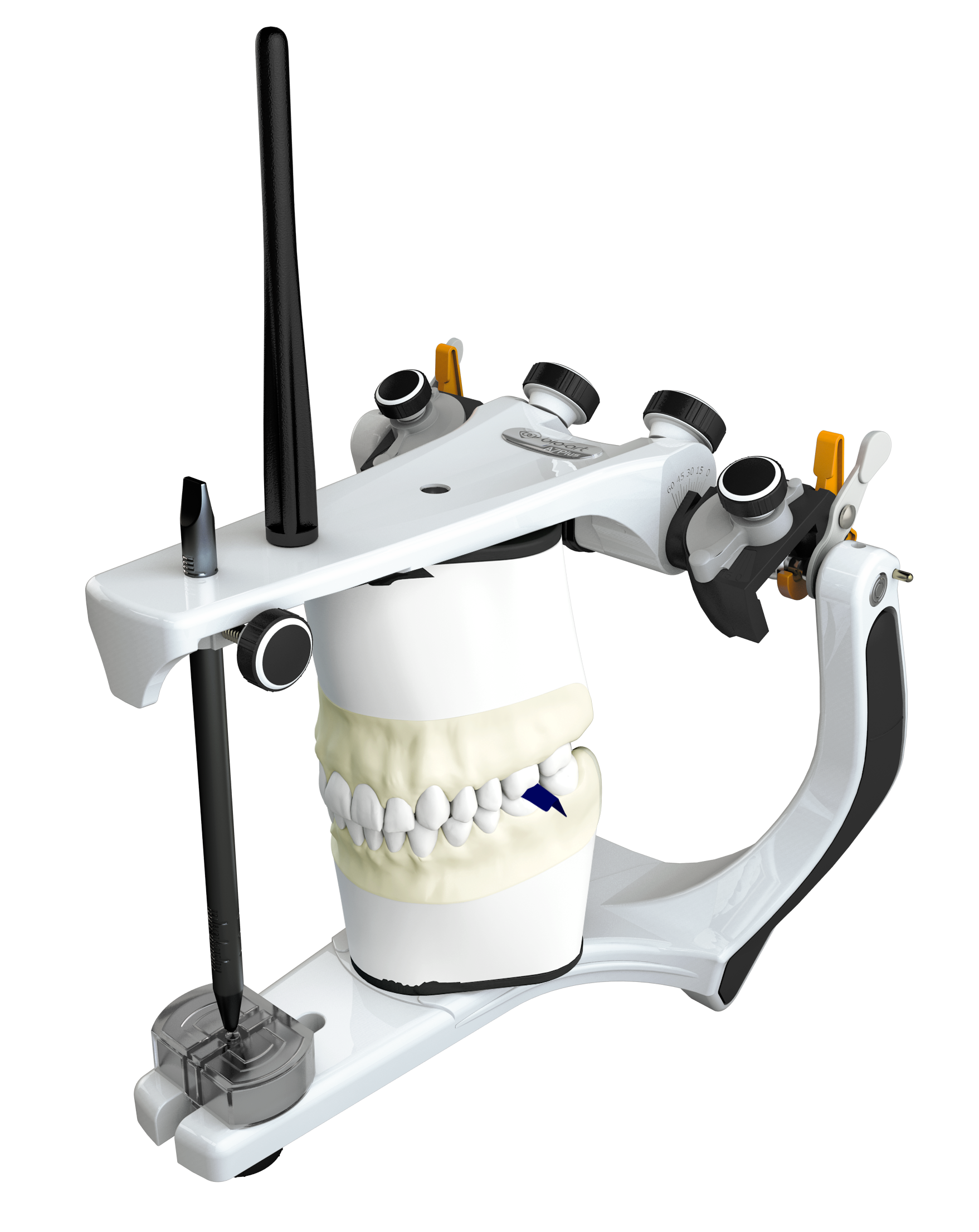 A7 Plus - Articulator
