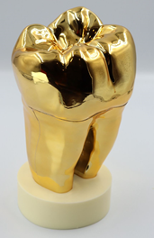 Golden Tooth Model 20x10cm - Big Tooth Style